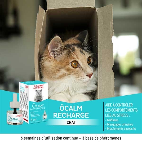 Clément Thekan Ô Calm Solution Calmante Chat Recharge 48ml