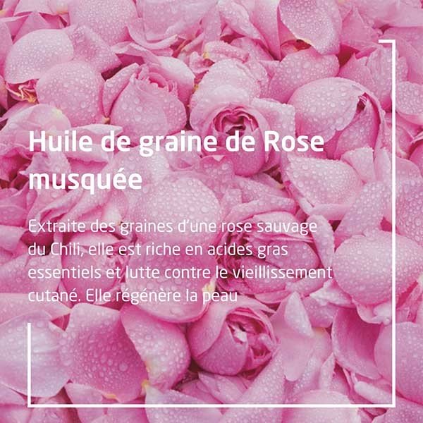 Weleda Rose Musquée Crème de Jour Lissante 30ml